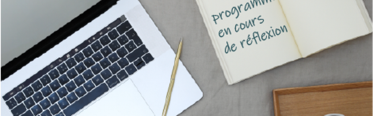 programme en réflexion